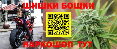 СК Новокубанск