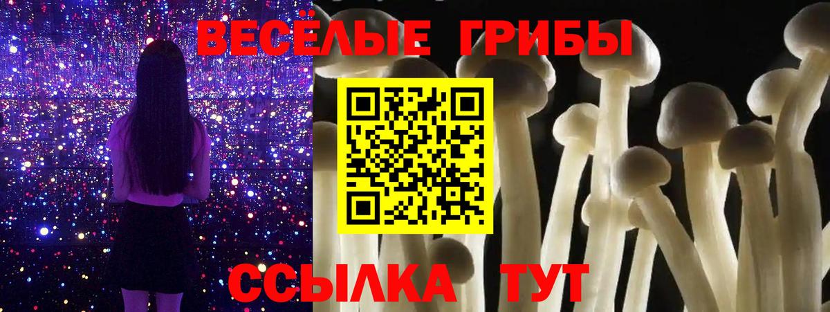 Галлюциногенные грибы мухоморы  где купить наркоту  Тихвин  Псилоцибиновые грибы прущие грибы  Вход с VPN 